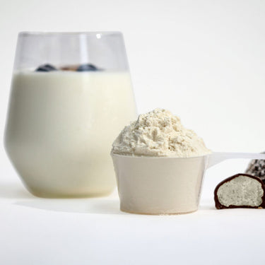 Gourmet Whey Protein – True Original  Powder